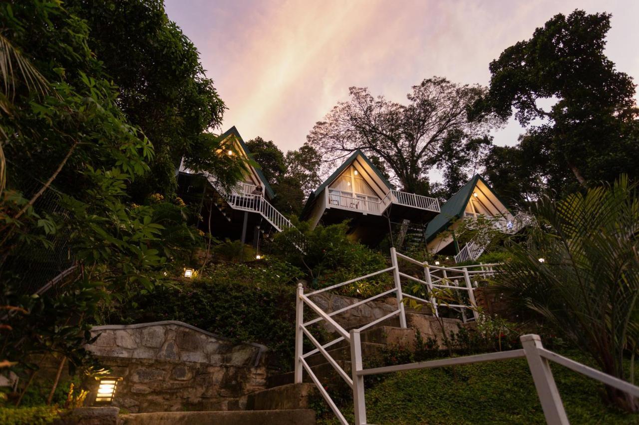 Orchid Villa Kandy Dış mekan fotoğraf